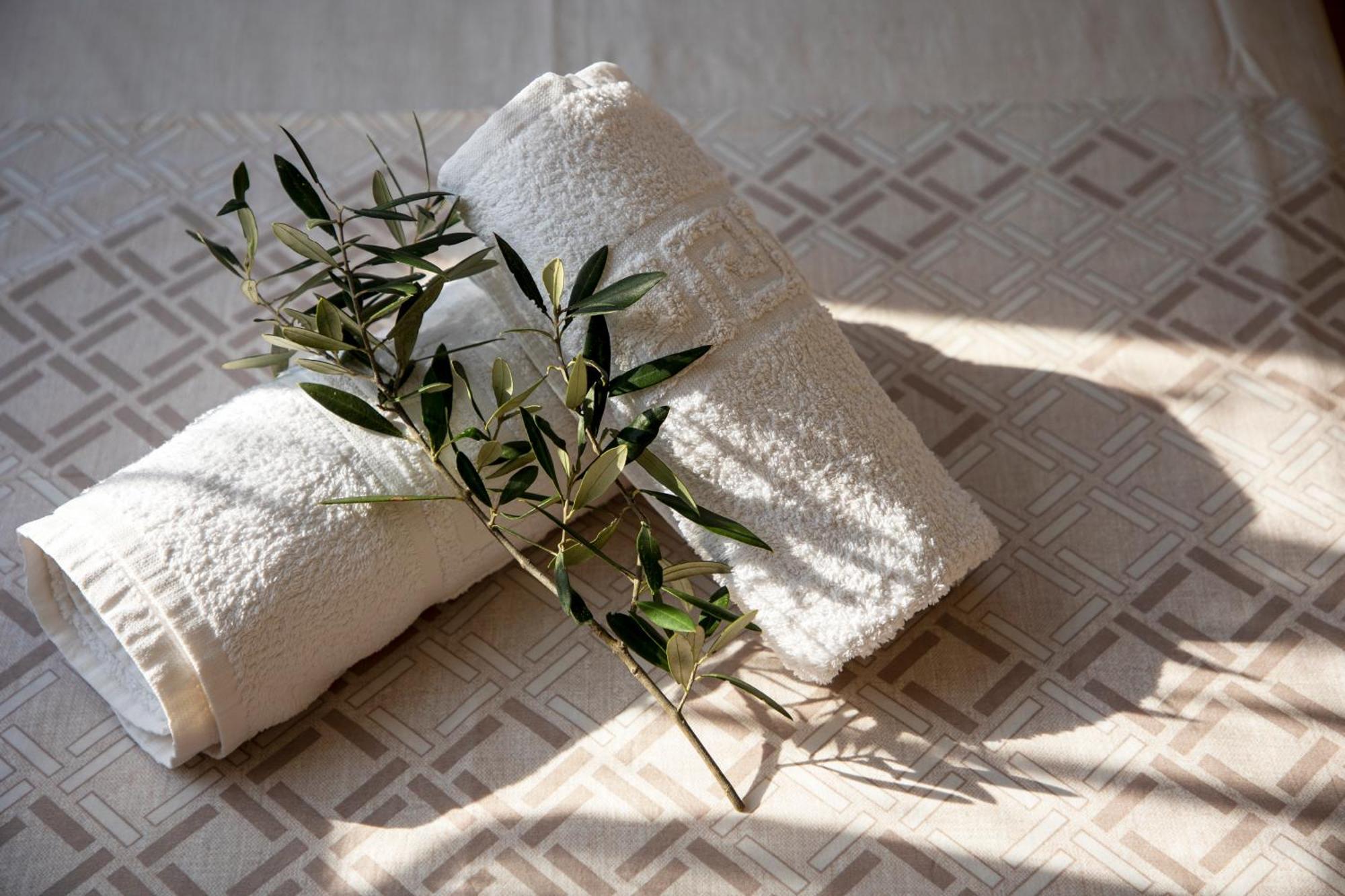 Aegina Sea View Villa Eginitissa エクステリア 写真